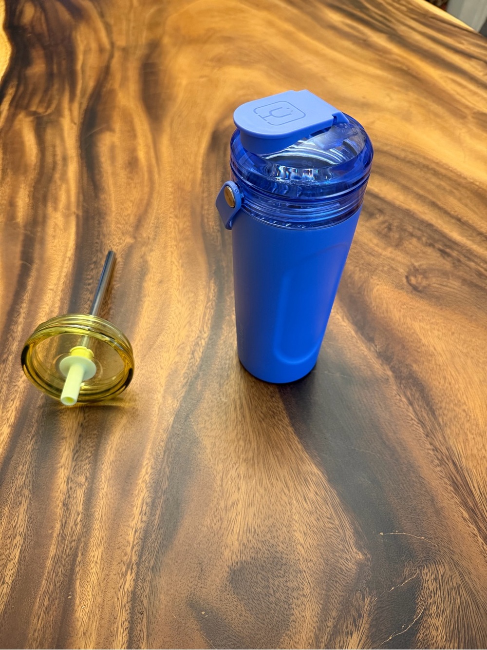 Brumate Multishaker Bottle in Thistle with Prickly Pear Straw attachment
